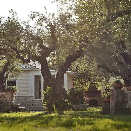 Leeda'S Village Lithakia  Oda fotoğraf